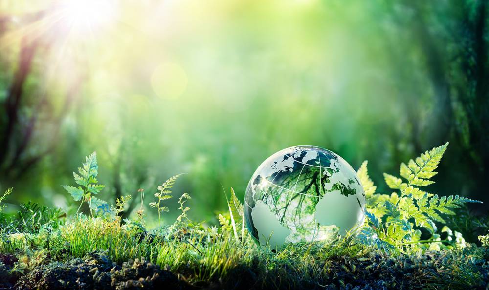 impact environnement impact environnement